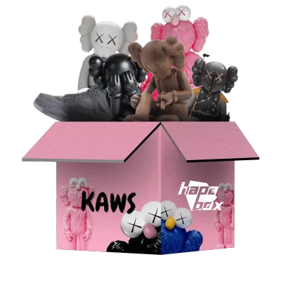 Online Mystery Box - KAWS Artwork | Hapabox